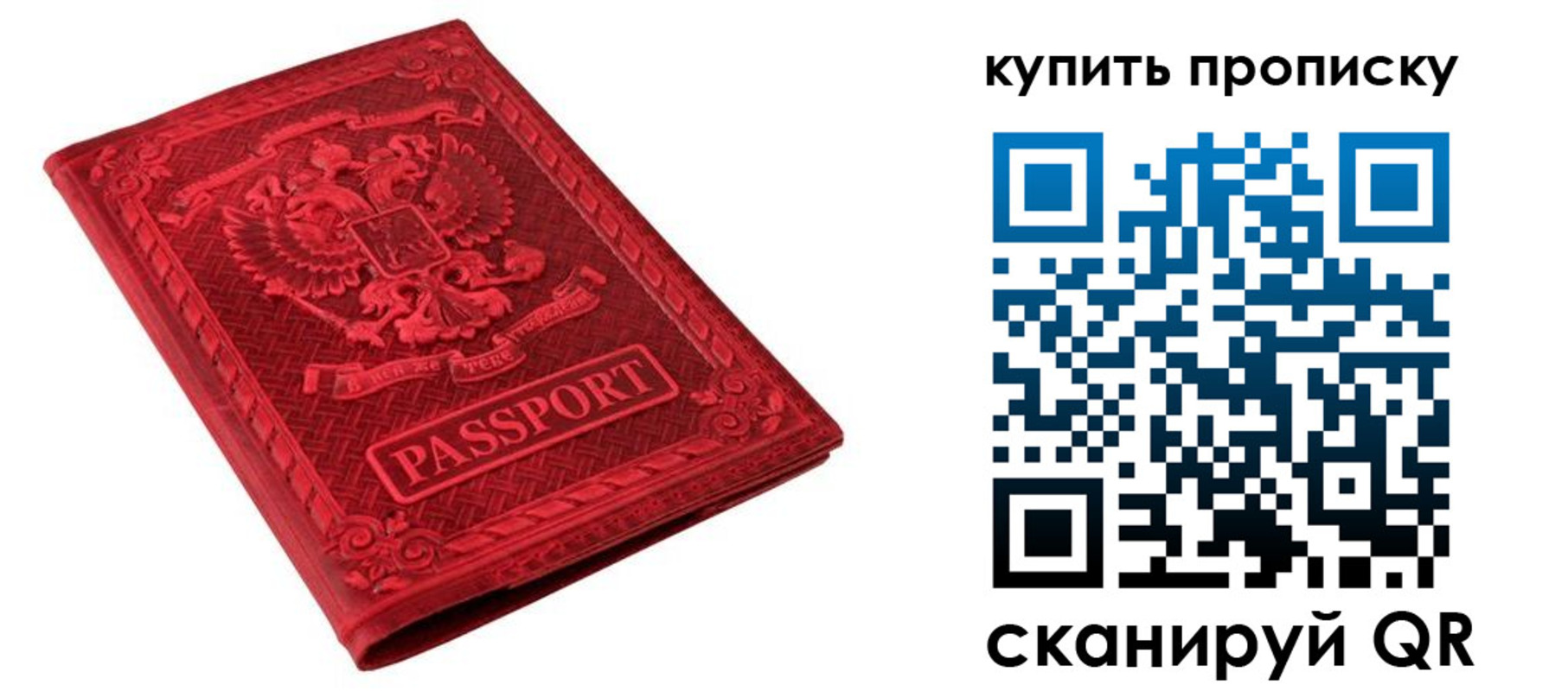 прописка в Дубне